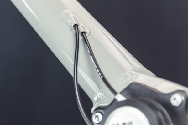 Schindelhauer Emil 9-speed - Bilde 21