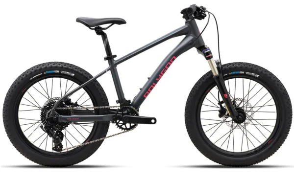 Polygon Xtrada 20