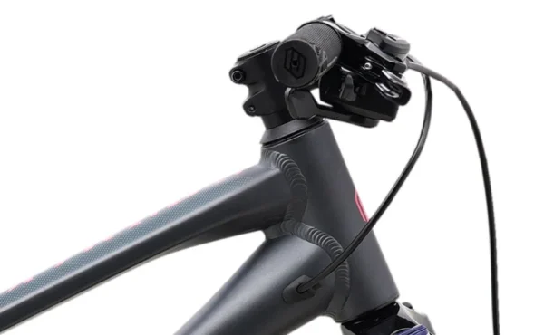 Polygon Xtrada 20 - Bilde 6