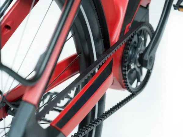 Buddy X1 Rohloff - Bilde 6