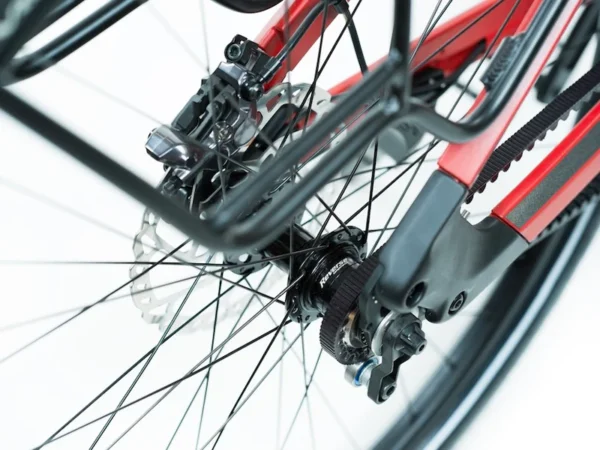 Buddy X1 Rohloff - Bilde 5