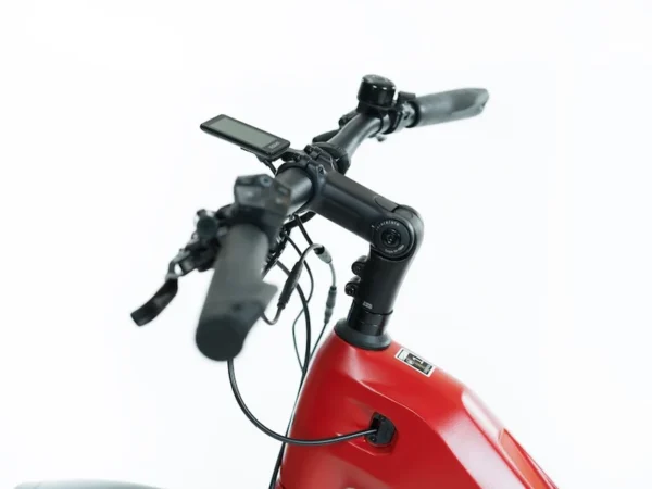 Buddy X1 Rohloff - Bilde 4