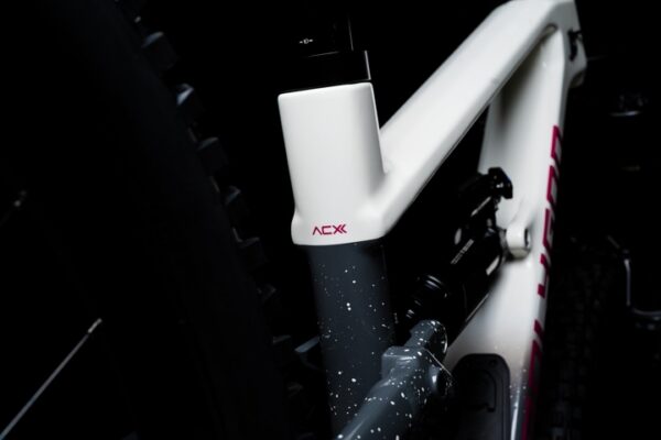 Polygon Collosus N9 Di2 CB - Bilde 15