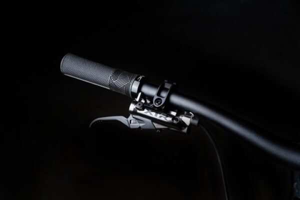 Polygon Collosus N9 Di2 CB - Bilde 18