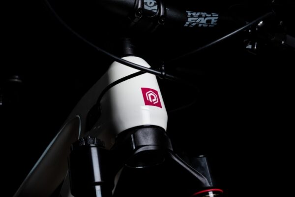 Polygon Collosus N9 Di2 CB - Bilde 21
