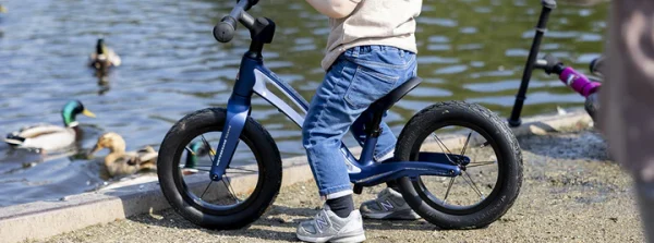 Motobecane Roadie