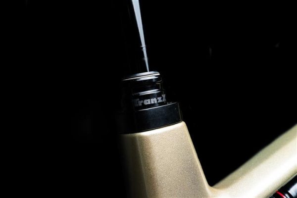 Polygon Collosus T9 Di2 CB