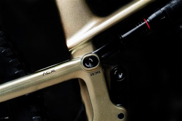 Polygon Collosus T9 Di2 CB