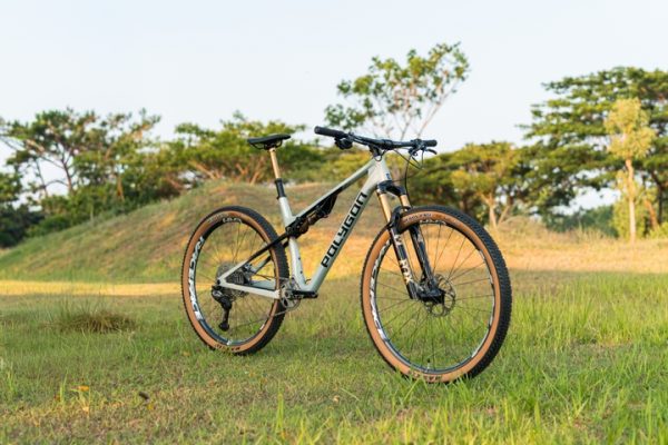 Polygon Syncline DR9