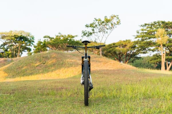 Polygon Syncline DR9
