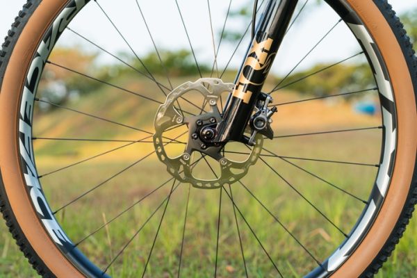 Polygon Syncline DR9