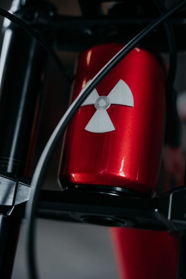Nukeproof Dissent Carbon Pro