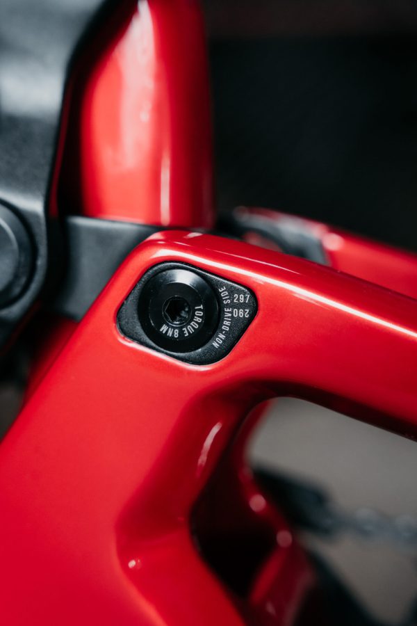 Nukeproof Dissent Carbon Pro