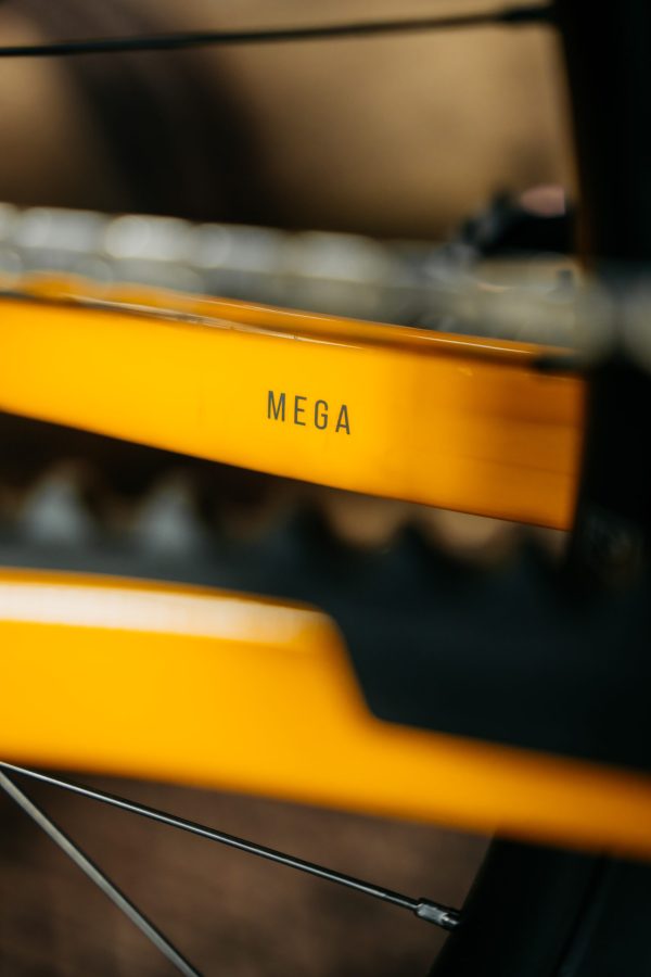 Nukeproof Mega Alloy Pro
