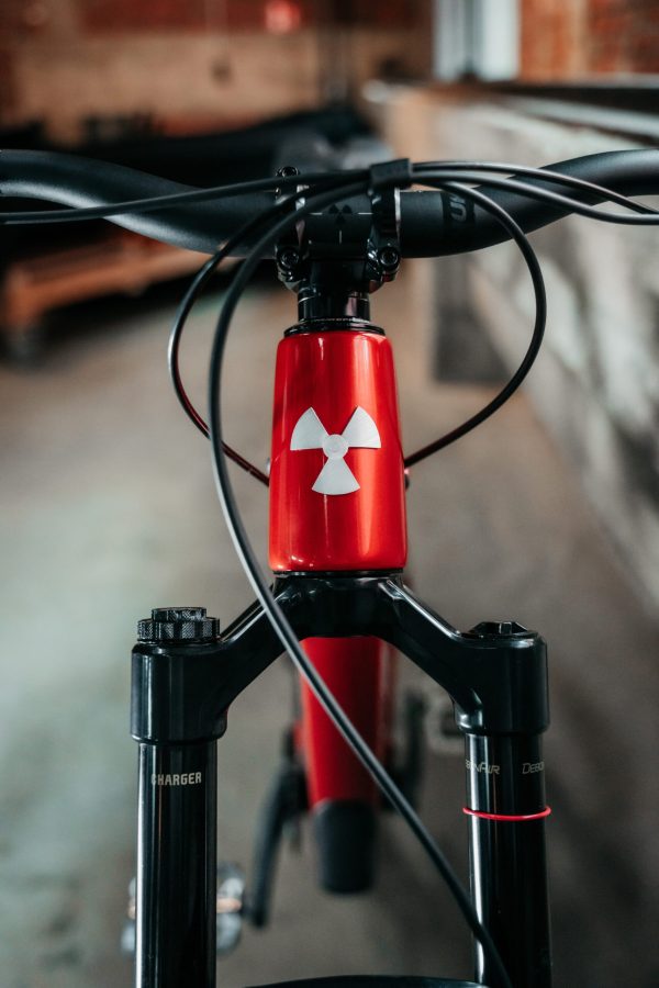 Nukeproof Reactor Carbon Pro 290